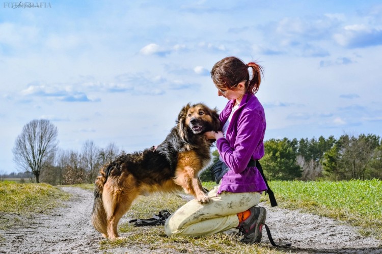 1738897001451989.jpg a Poland dog.jpg